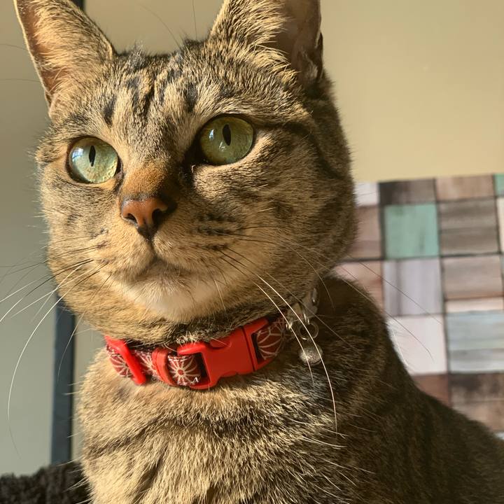 73a00675 1c82 41d1 9aa4 d5ddd3561956 1584622542899