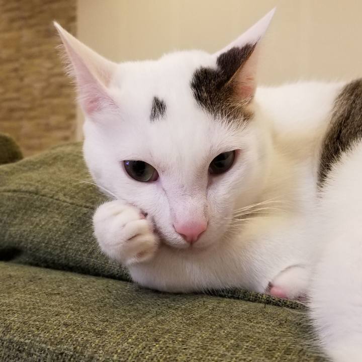 73a027b3 3a3d 4074 bf0a 40fa42386105 1542369966833