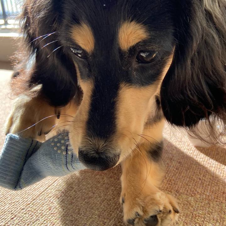 73a0628f 61a4 4309 9fd3 75f432138574 1676936771029