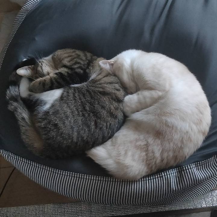 73a07e99 5210 42c7 8975 2e9a62aaa6a5 1666769309872