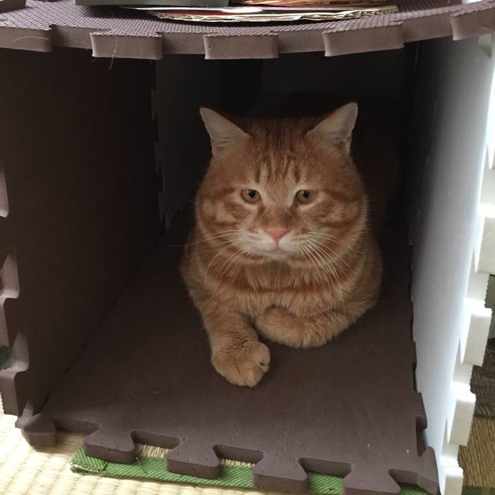 73a11118 1be8 418e 9e46 8c68abe3c9d2 1519885478598