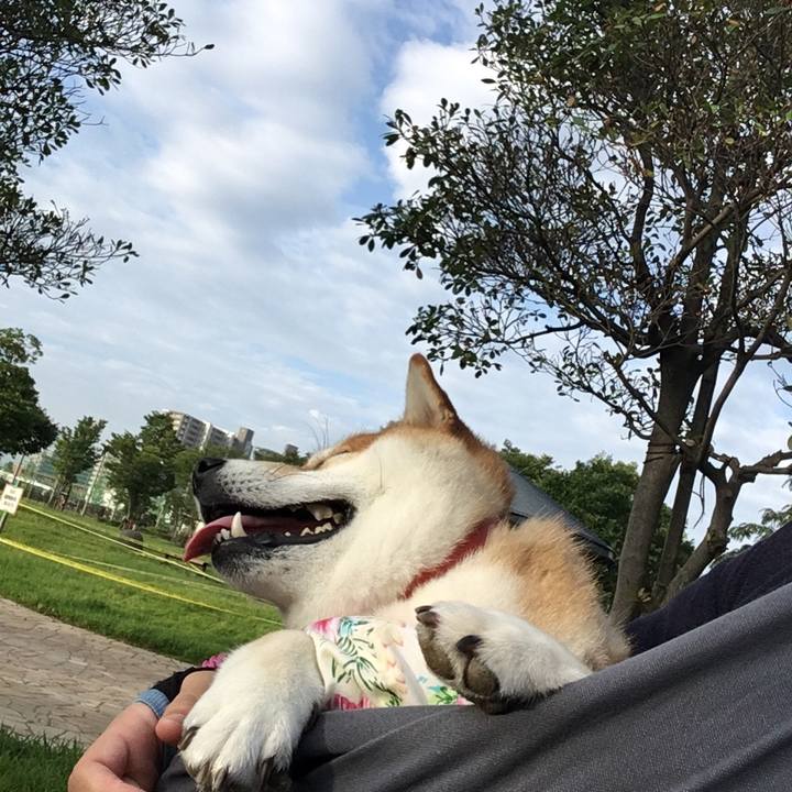 73a161e7 c231 4045 bf11 0d9803102487 1566340291326