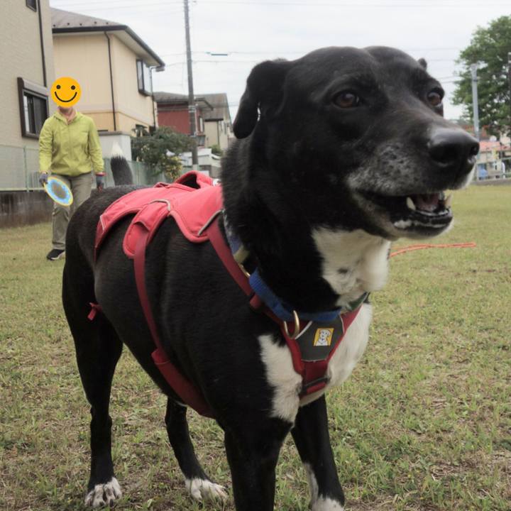 73a19435 4685 4dd6 bcc0 f6d3ad05b34c 1682299958312