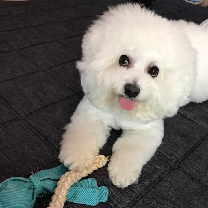 73a1c943 a503 438b 98c2 d7f1f104106a 1560747126461