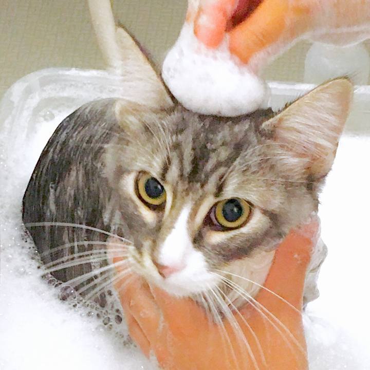 73a1cb0f 458a 4f0d b50a 7252498f8d18 1536147622333