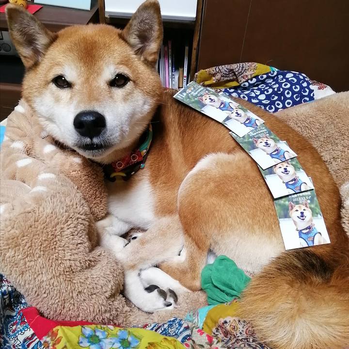 73a1cf59 0f36 4f89 a6ad 75e079481184 1667644265510