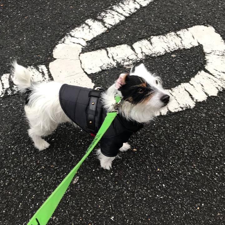 73a1e921 914a 4c3c 8c55 3e44d8125c73 1516581791231