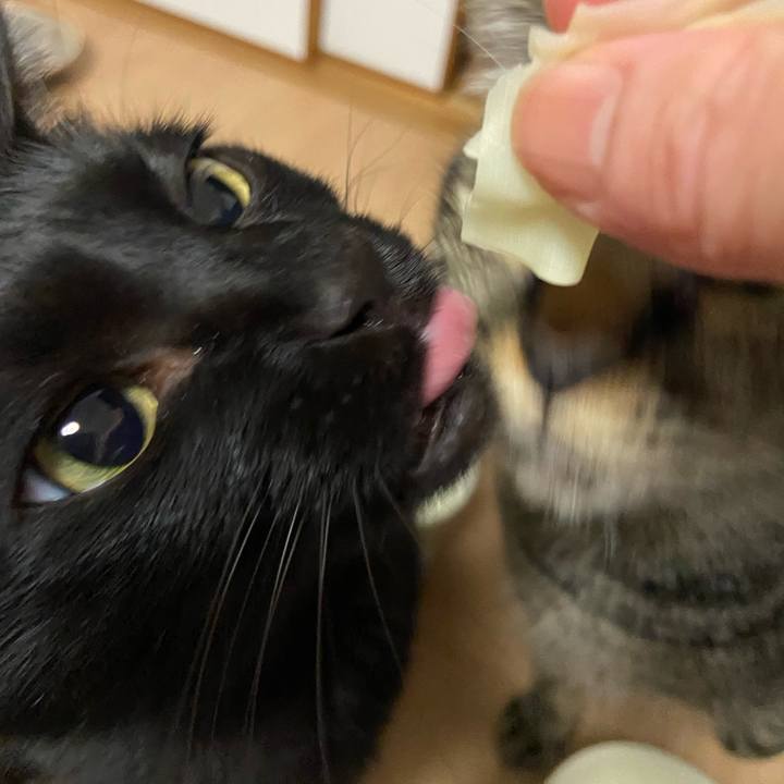 73a20c39 fe20 46ac 80ac c2505d1b6d04 1649417521827