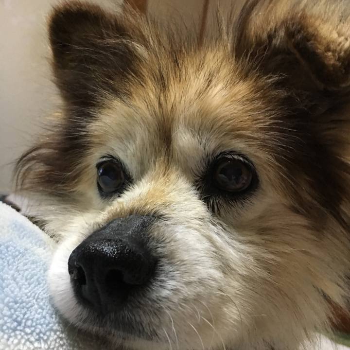 73a2117b bed0 4664 8f2e 3caee094f6c9 1600551544430