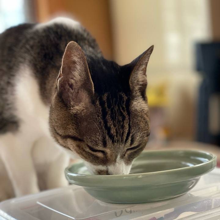 73a2233b 6fc6 46b9 963c e81b89e7c50f 1638406782619