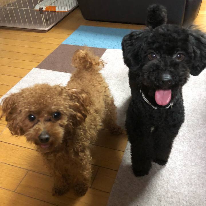 73a247bf 40b3 4f4a adaa 92d0f83cdb7b 1521710003947