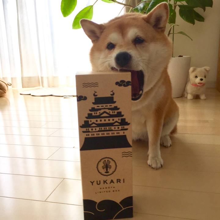 73a262c9 90e7 45c2 926a 5b4a4c7e6d85 1534060145443