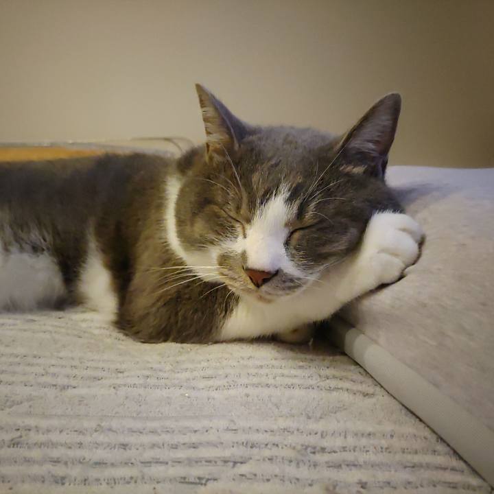 73a2bcf1 a201 4383 aa0c 0684f3af2814 1718273244948