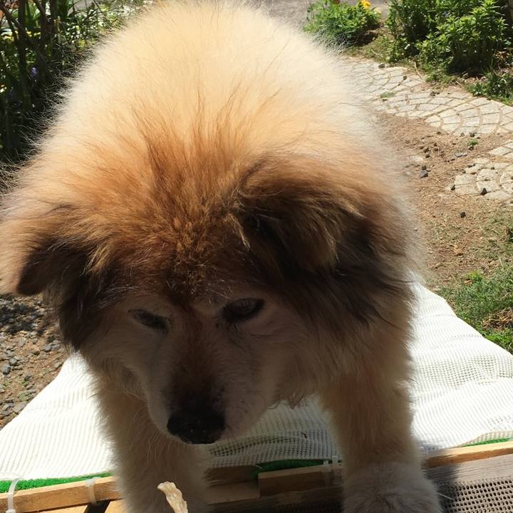 73a2bf69 0928 4fa7 b4b1 50023c26ed76 1578704191320