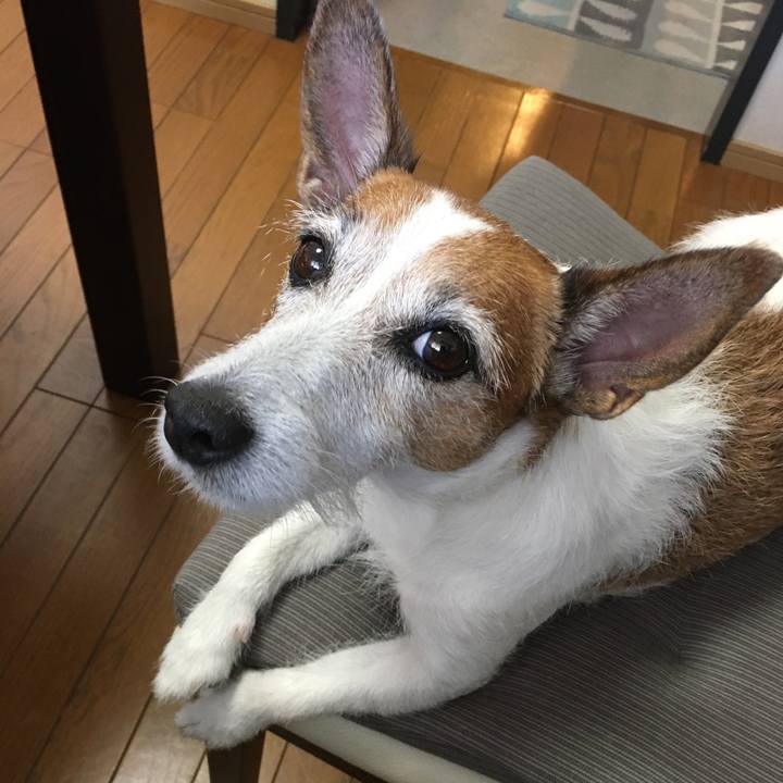 73a2c848 8443 4f46 8881 513c9b0220b9 1632528747325