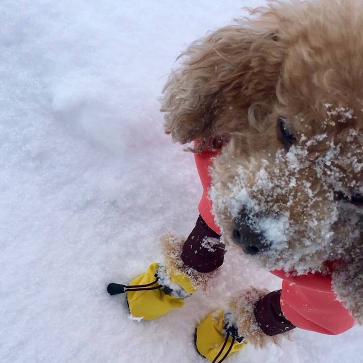 73a2eea9 d27d 462b b0d2 8f900875ce86 1519801307686