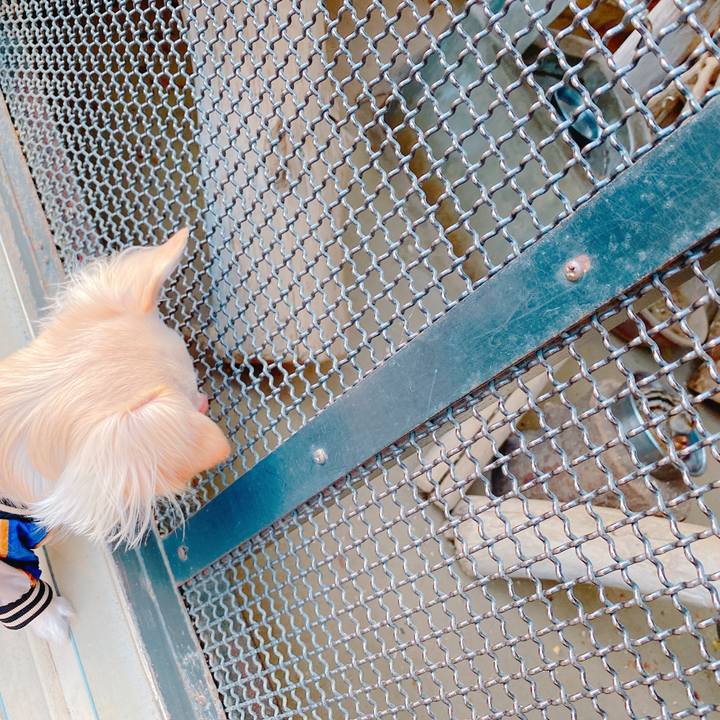 73a3adbd 736d 4f15 a5a9 04946eb57f2e 1640148964905