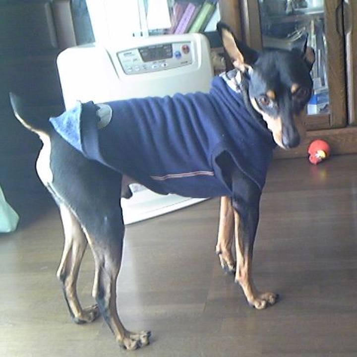 73a3e7ca 29dd 4b54 b941 29817e8d1a9c 1752201538202