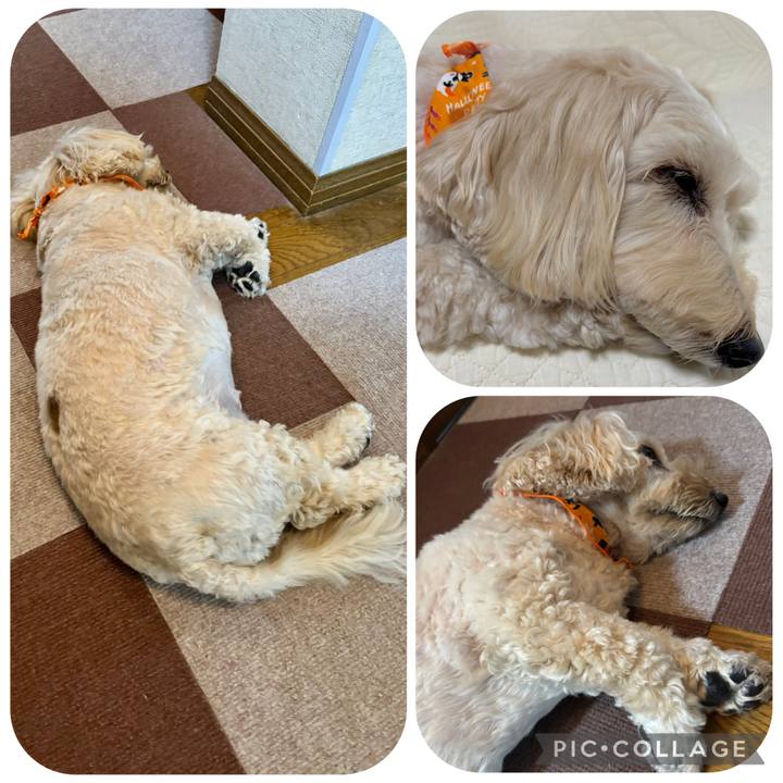 73a40635 4606 4157 bcfd 9413cc4cbf38 1761875394201