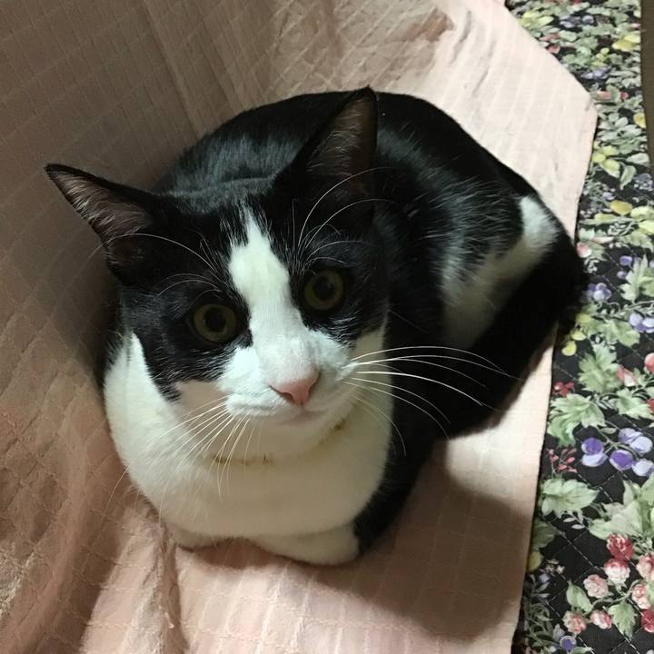 73a417e7 33d6 4df2 bbdd d2afdab78083 1646302298565