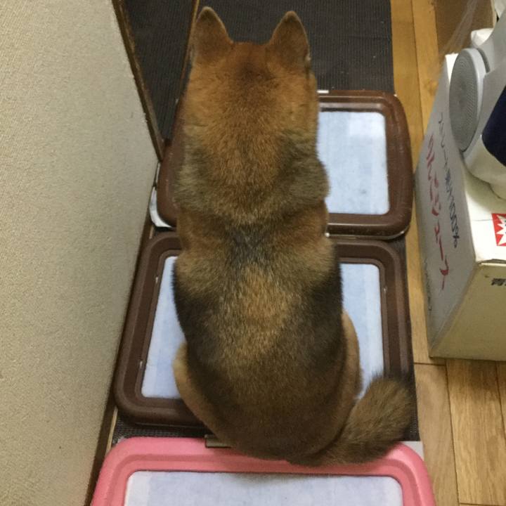 73a44c55 8c17 4e73 a4af f8aa4ed4f7dd 1579168892168