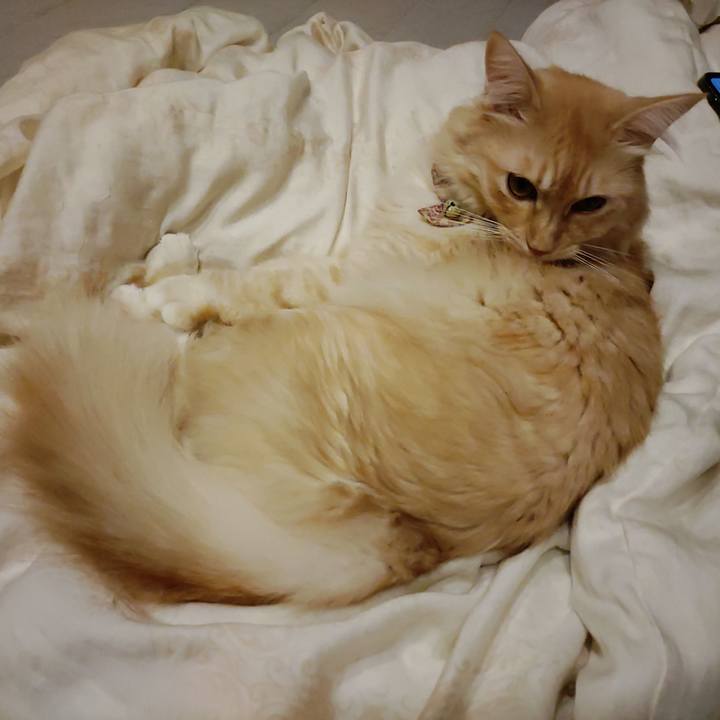 73a45119 205f 40d7 8eb9 5fc725063829 1695217631551