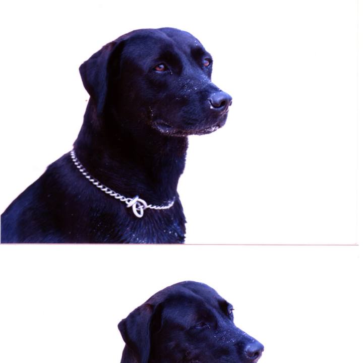 73a49bb7 b242 4233 9244 86978f460595 1519998427700