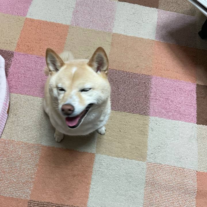 73a4b112 77d8 480f 9fc9 432b67fcc8f2 1689252323325