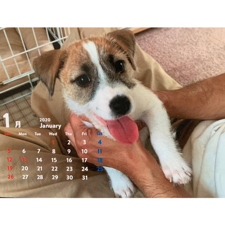 73a4ca03 edb4 4685 b840 d4edcf0d3d78 1580449908114