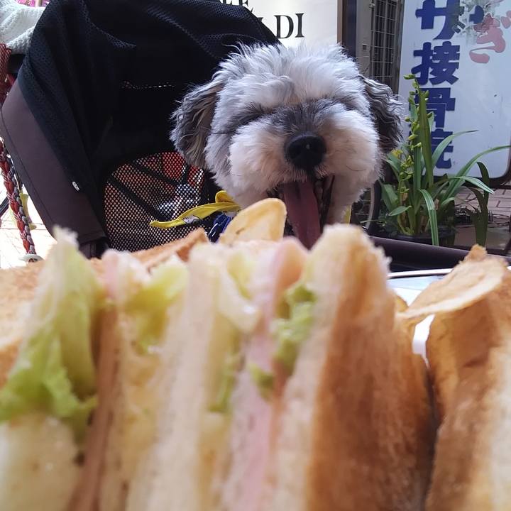 73a4cfa9 cbee 4427 814c 5d25540c5fe8 1651876595389