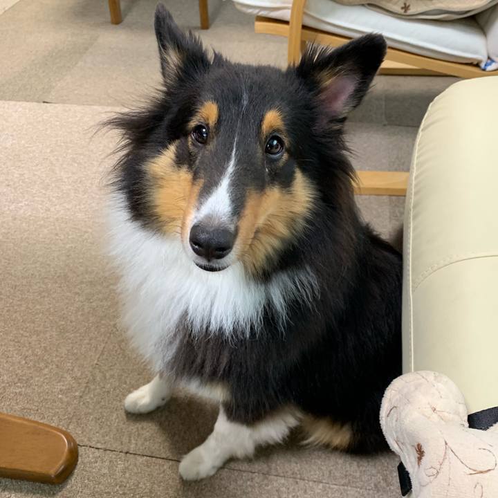 73a4dfda 4e5f 4274 b5ac bb691f560ff9 1568150008180