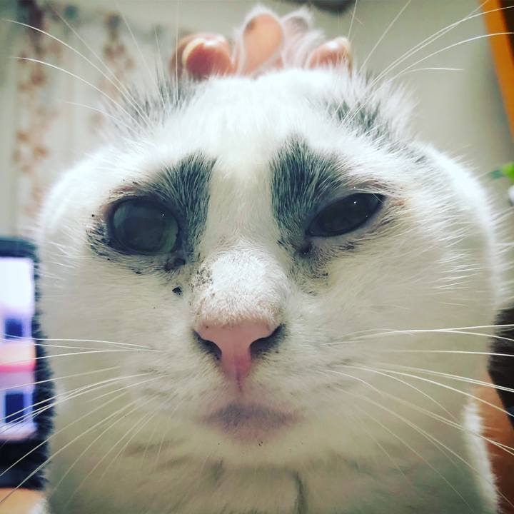 73a4e7b0 f436 497d 8191 2572323fc26c 1567630821126