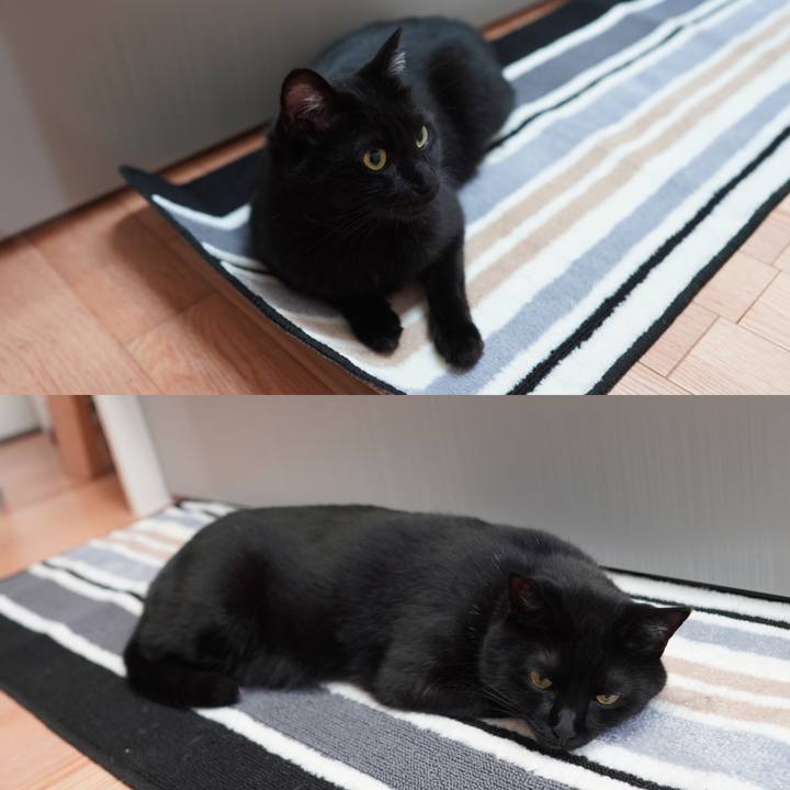 73a522f1 f683 479a a6fc 9a5f9ca224da 1593525006182