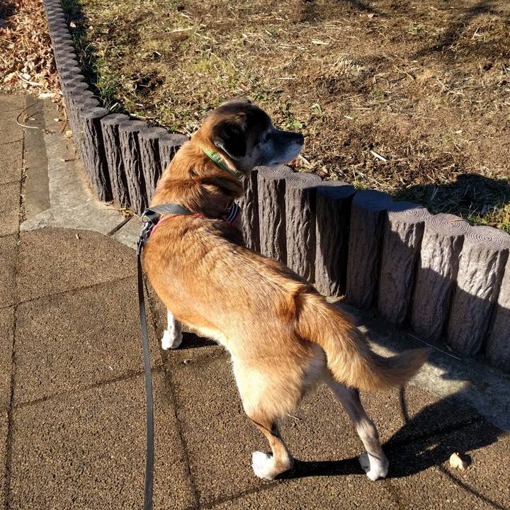 73a54451 88e2 4cfd 8bf6 60a3749dc4d4 1514423815416