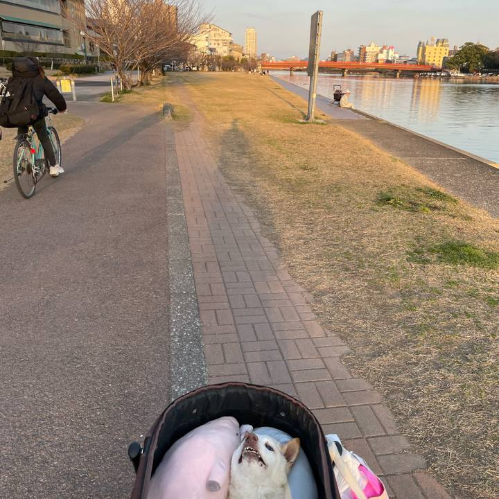 73a54f3d 1ca0 4ec6 b33c c03da344efac 1678011813533