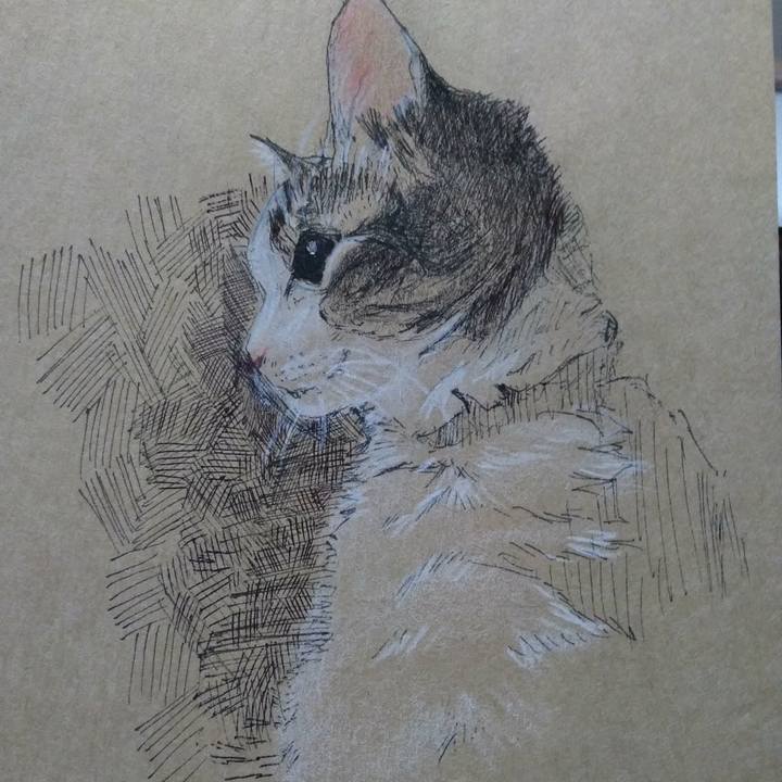 73a55456 5f37 41d2 88e6 a376dc7ba25a 1544700546123