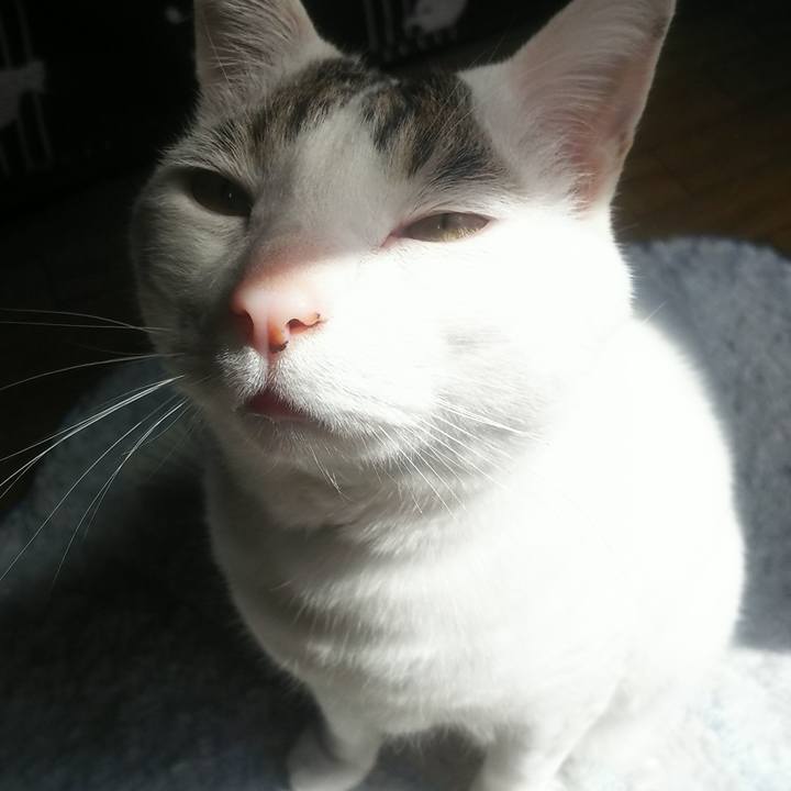 73a57fdd 94ca 4a3e b66e 0d6d6555d150 1552227395500