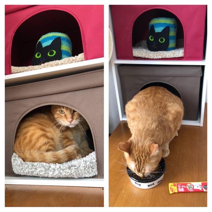 73a588ec 0f4a 41ae 970e a1f655330a08 1583550610480