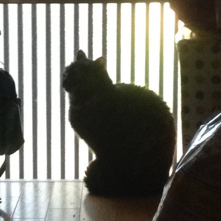 73a58be7 78f0 4447 880e e966847632ab 1546647310564