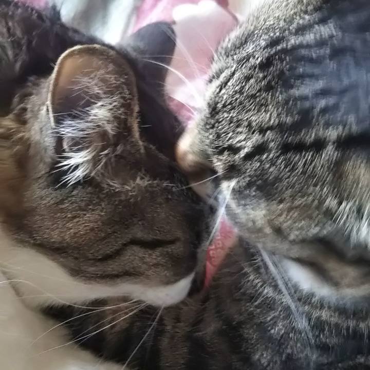 73a58cb9 dc8e 46e1 9b47 973672739f42 1616399522687