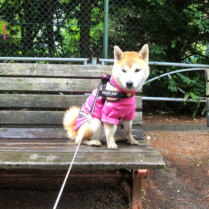 73a61f58 33e0 4a14 89ed 38631dc4db0c 1595810536768