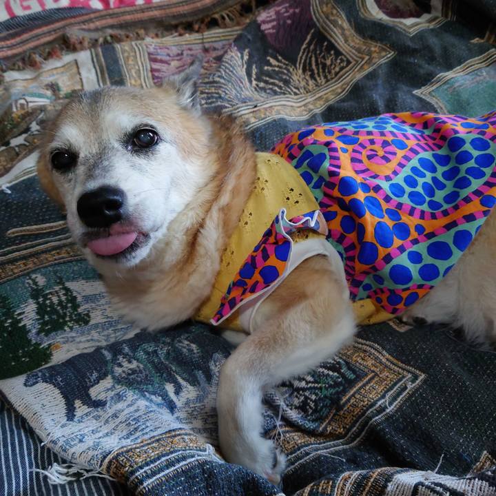 73a63110 2e33 47f7 ad20 0c666fbc5dfe 1726015798466