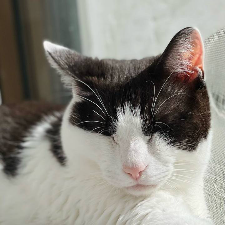 73a66744 65b4 415e a185 9739c94199a2 1656122706725