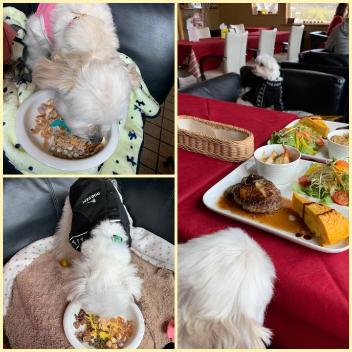 73a68c53 d130 4566 a00d c8e7729af50c 1581753098087