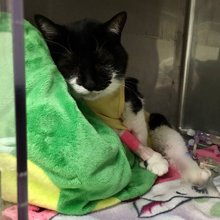 73a6b953 cdb0 4642 9adc ed0995197107 1595153626833