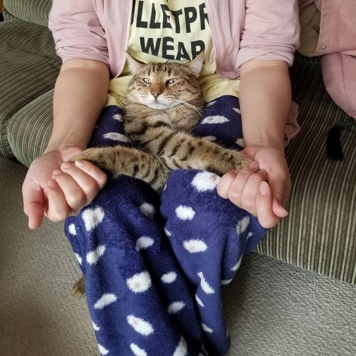 73a6c32b 1464 4370 a1b7 406083d27726 1651388329951