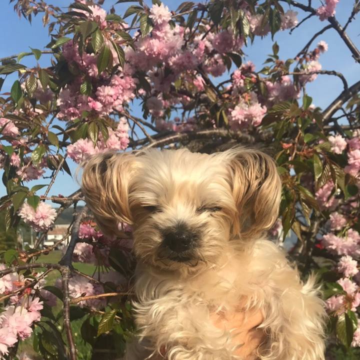 73a6c98b 4357 45df 9b9b f84507df55e5 1557828041856