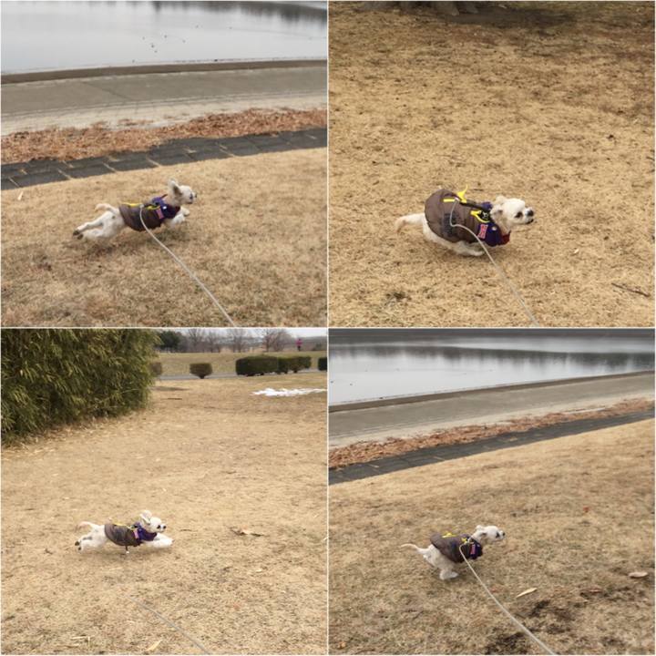 73a723d1 9b68 4fb6 986e 64977e69fd75 1517647266920