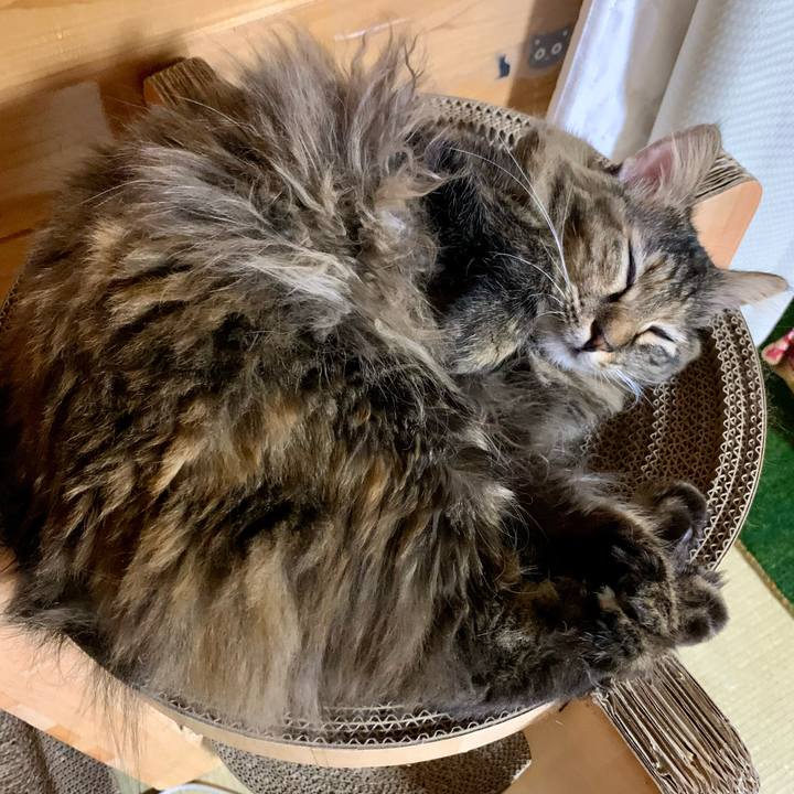 73a7267b 2163 4e53 a79f fbd4d1cb3eef 1677326577121