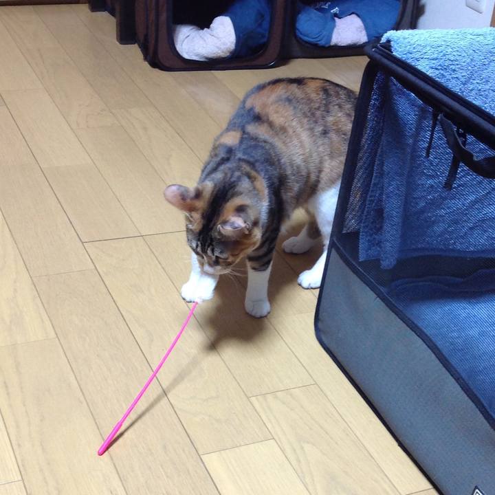 73a76cb5 80ca 4c48 bf77 6465af7e9aaa 1645243523547